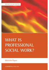 What is professional social work?  Cover Image