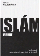 Islám v Brně : muslimská komunita očima médií a Brňanů  Cover Image