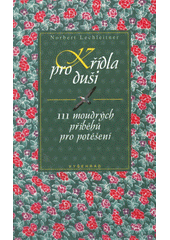Křídla pro duši : 111 moudrých příběhů pro potěšení  Cover Image