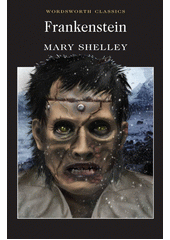 Frankenstein or The modern Prometheus  Cover Image