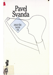 Zkušenosti : eseje  Cover Image