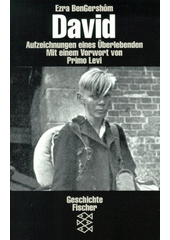David : Aufzeichnungen eines Überlebenden  Cover Image