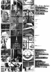 Budoucnost ztraceného kulturního dědictví : dokumentace, identifikace a restituce kulturních statků obětí II. světové války : příspěvky z mezinárodní vědecké konference v Českém Krumlově (22.-24.11.2005)  Cover Image