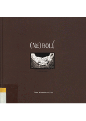 (Ne)bolí : vzpomínky Romů na válku a život po válce  Cover Image