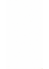 Evropa a idea Národa : (a jiné eseje o problémech současného člověka)  Cover Image