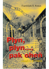 Plyn, plyn--, pak oheň : vězeň č. B 11632  Cover Image