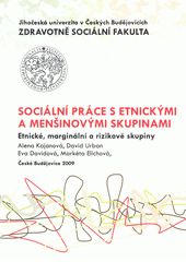 Sociální práce s etnickými a menšinovými skupinami : etnické, marginální a rizikové skupiny  Cover Image