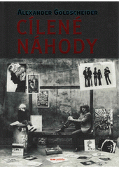 Cílené náhody  Cover Image