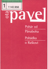 Dukla mezi mrakodrapy  Cover Image