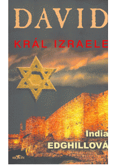 David : král Izraele  Cover Image