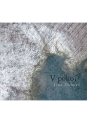 V pokoji  Cover Image