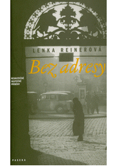 Bez adresy : neskutečně skutečné příběhy  Cover Image