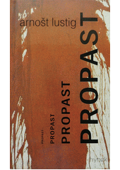 Propast : román  Cover Image