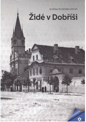Židé v Dobříši  Cover Image