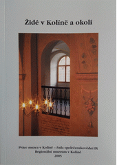 Židé v Kolíně a okolí  Cover Image