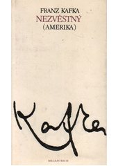 Nezvěstný : Amerika  Cover Image