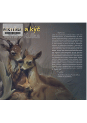 Umění a kýč  Cover Image
