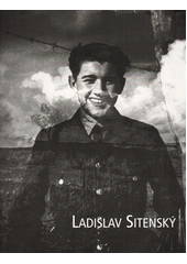 Fotografie : Plzeň - Velká synagoga, duben - listopad 2000 = Photographs : Pilsen - Great Synagogue, April - November 2000  Cover Image
