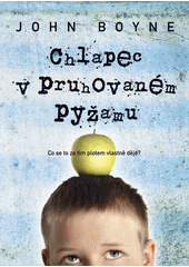 Chlapec v pruhovaném pyžamu  Cover Image