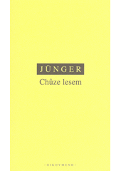 Chůze lesem  Cover Image