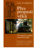 Go to record Přes propasti věků : tři kapitoly z našich nejstarších dějin