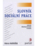 Go to record Slovník sociální práce