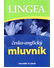 Go to record Česko-anglický mluvník