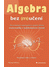 Go to record Algebra bez (m)učení : od arabských matematiků k tajným ši...