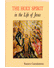 Go to record The Holy Spirit in the life of Jesus : the mystery of Chri...