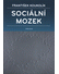 Go to record Sociální mozek : evoluce a neuronální podklady