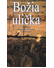 Go to record Božia ulička : antológia slovenskej literatúry o holocauste
