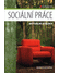 Go to record Sociální práce : aktuální otázky