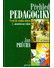 Go to record Přehled pedagogiky : úvod do studia oboru