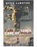 Go to record Care of souls, care of polis : toward a political pastoral...