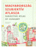 Go to record Magyarország szubjektív atlasza = subjective atlas of Hung...
