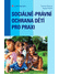 Go to record Sociálně-právní ochrana dětí pro praxi