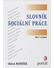 Go to record Slovník sociální práce