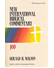 Go to record New International Biblical Commentary - Job