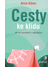 Go to record Cesty ke klidu : jak se vyrovnat s nejistotou