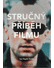 Go to record Stručný příběh filmu : kapesní průvodce klíčovými žánry, f...
