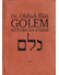 Go to record Golem : historická studie