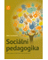 Go to record Sociální pedagogika : věda, praxe a profese v souvislostech