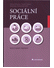 Go to record Sociální práce : současné trendy