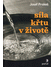 Go to record Síla křtu v životě