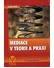 Go to record Mediace v teorii a praxi