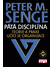 Go to record Pátá disciplína : teorie a praxe učící se organizace