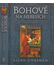 Go to record Bohové na nebesích : astronomie, náboženství a kultura od ...